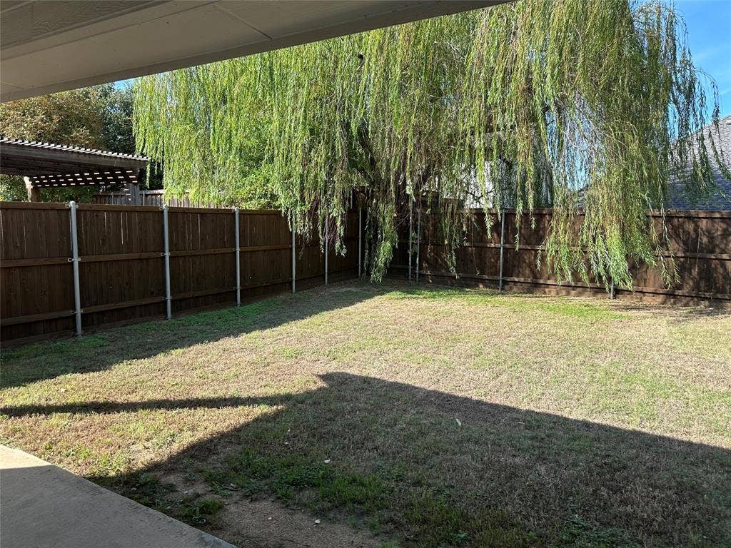 9756 Old Field Drive, McKinney, TX 75072 Backyard featuring a concrete patio, perimeter wood fencing, and a mature willow tree