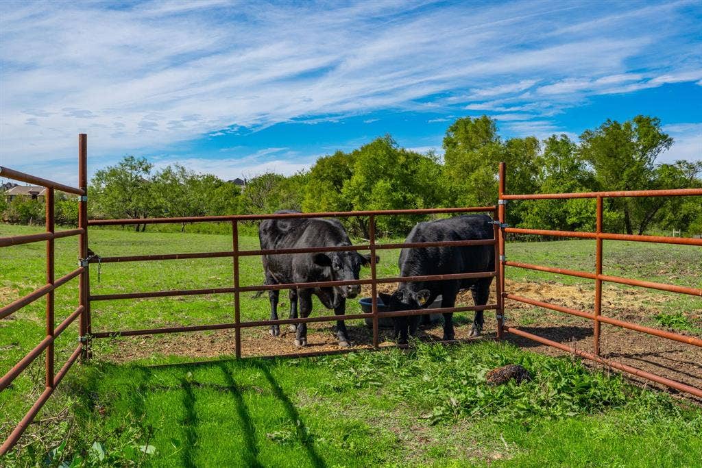 9413 Alabama Street, Joshua, TX 76058