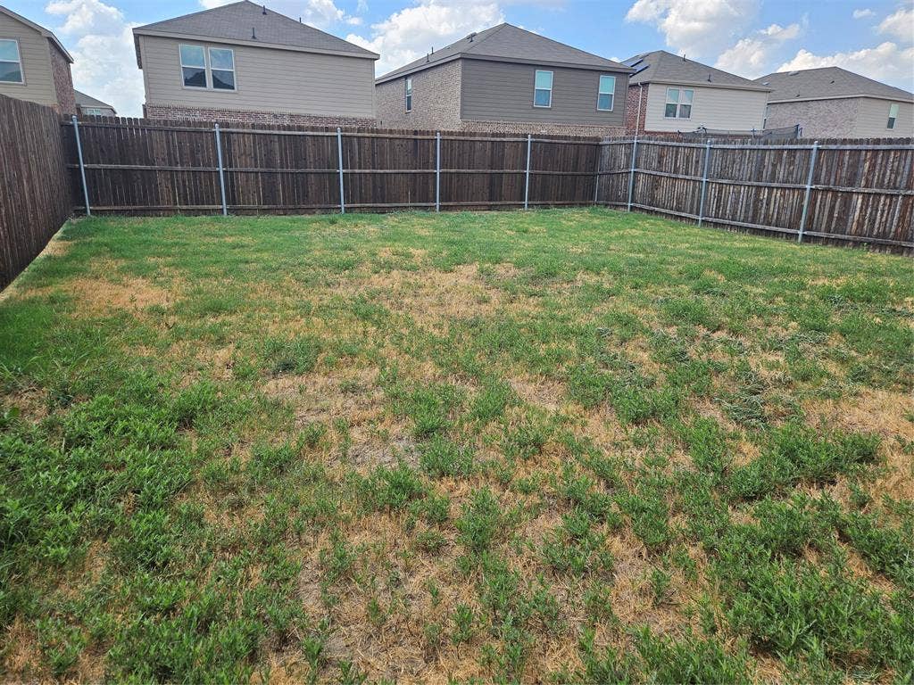 1860 Ballinger Drive, Forney, TX 75126 Open backyard featuring a full-perimeter wood privacy fence and lawn space