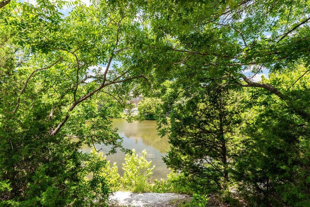 View of pond from backyard