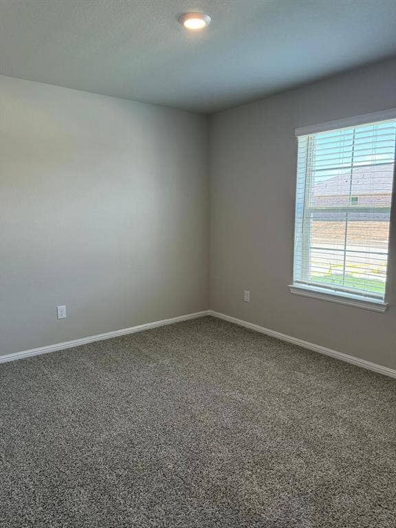 Neutral-toned interior room featuring wall-to-wall carpeting, a single-pane window with horizontal blinds, and a flush-mount ceiling light fixture