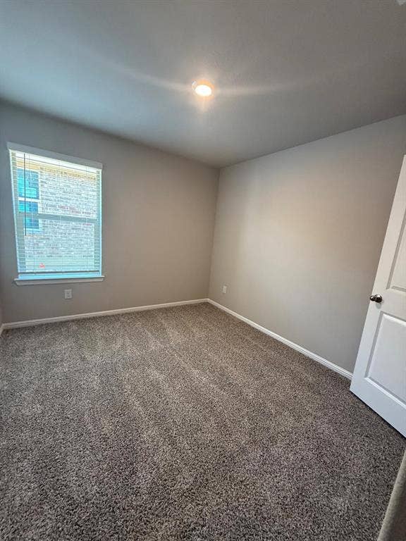 Neutral wall tones, carpeted flooring, single-panel interior door, and a multi-pane window