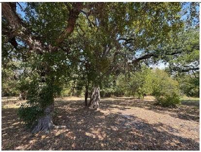 2712 Gillespie Street, Greenville, TX 75401 Expansive lot featuring mature hardwood trees and native vegetation