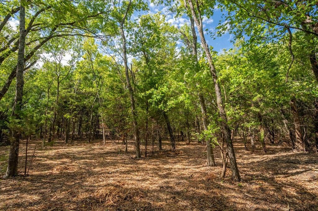 TBD County Road 936, Anna, TX 75409