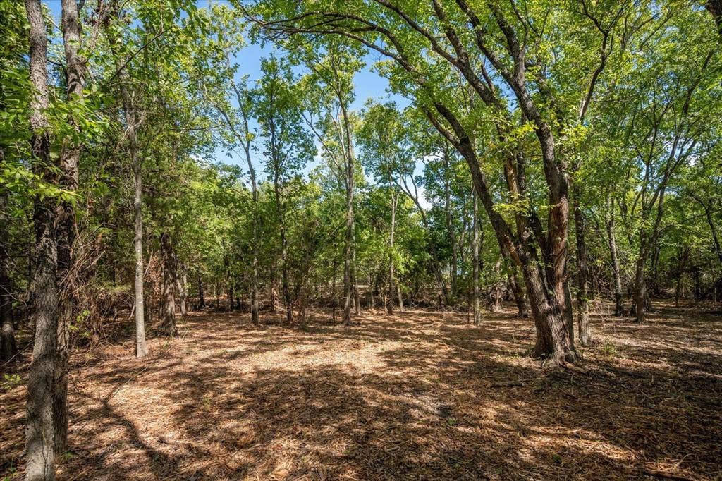 TBD County Road 936, Anna, TX 75409