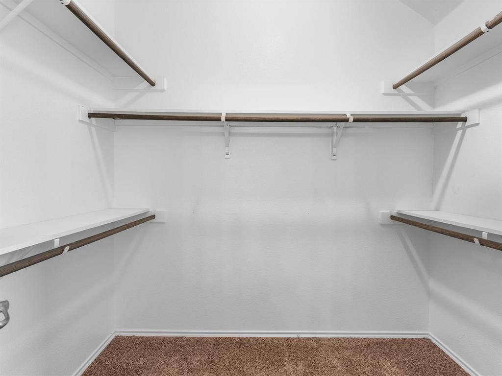 Walk-in closet featuring multi-level wood-finish clothing rods, white shelving, and neutral carpeting
