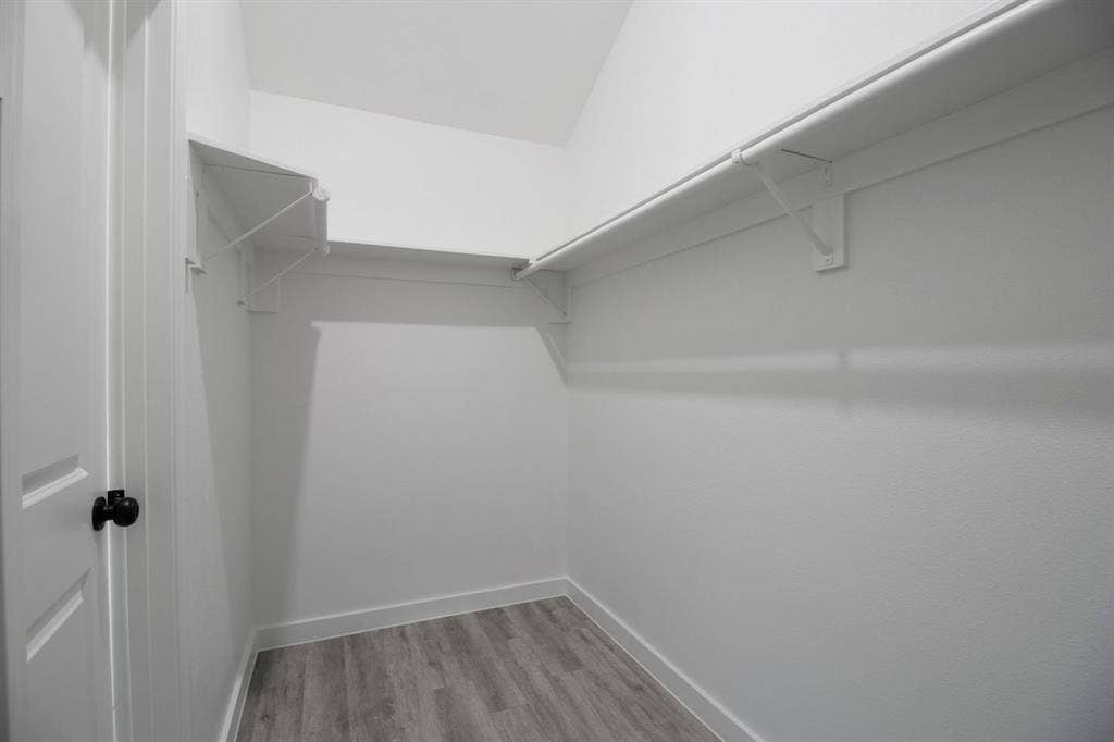 Walk-in closet with wood-finish flooring, white walls, built-in shelving, and a hanging rod