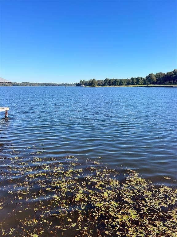Property photo for 3723 County Road 4806, Athens, TX