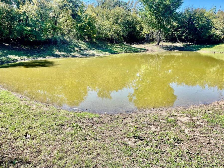 Property photo for 000 CR 340, Gustine, TX