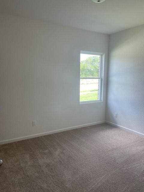 Neutral interior room featuring neutral-toned wall-to-wall carpeting, light-colored walls, and a single-pane window