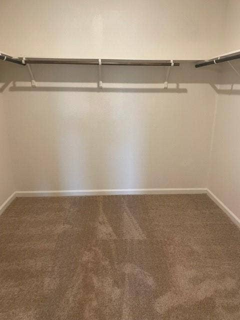 Walk-in closet featuring neutral carpeting and built-in upper shelving with hanging rods