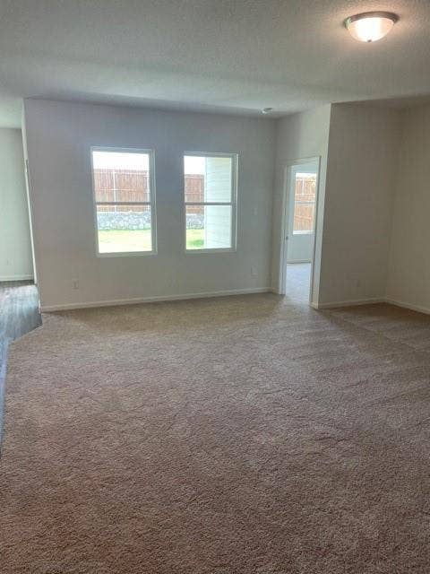Interior space featuring neutral-toned carpeting, two dual-pane windows, and a flush-mount ceiling light fixture
