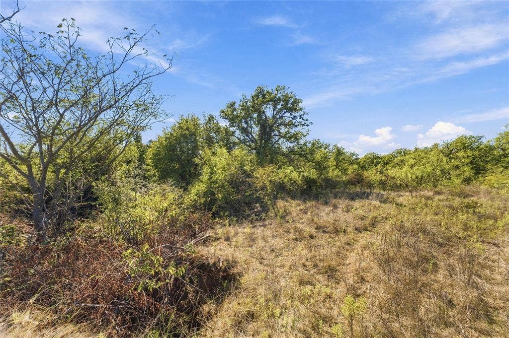 Tract 8 County Road 3671, Paradise, TX 76073