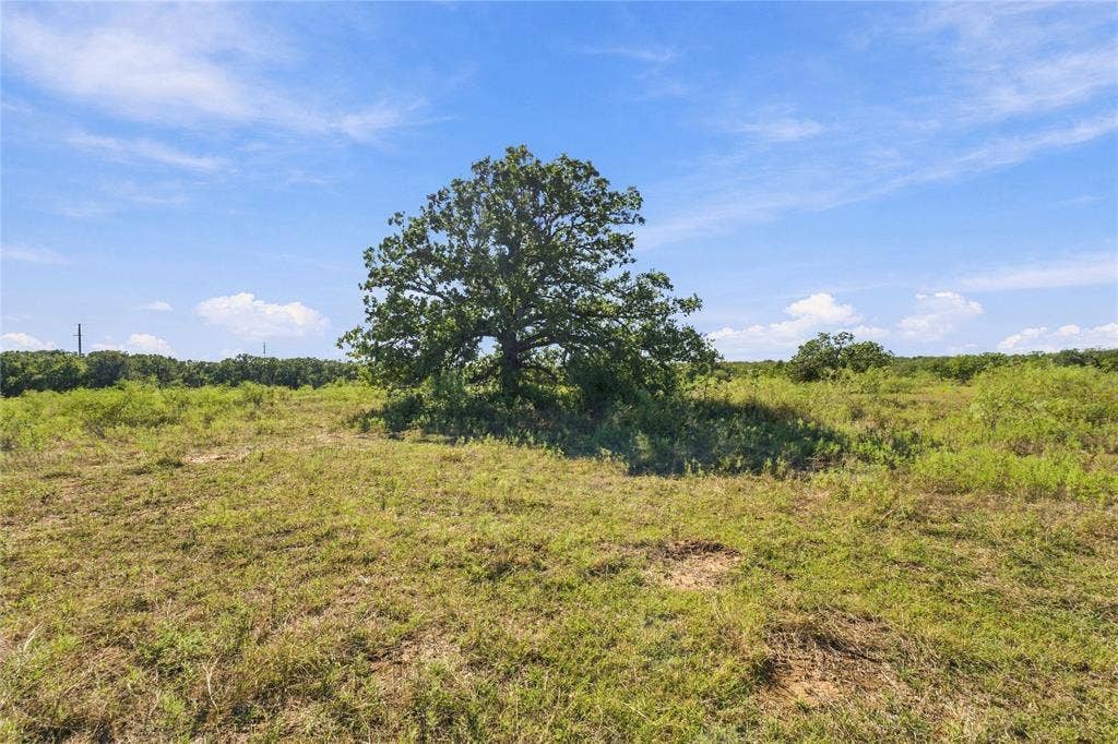 Tract 8 County Road 3671, Paradise, TX 76073