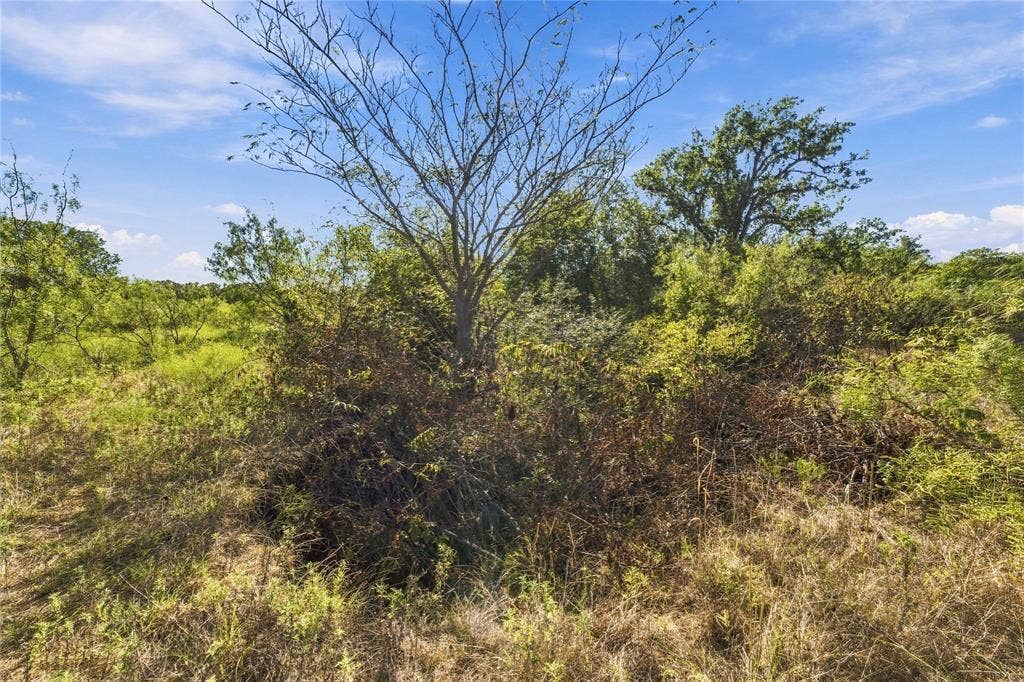 Tract 8 County Road 3671, Paradise, TX 76073