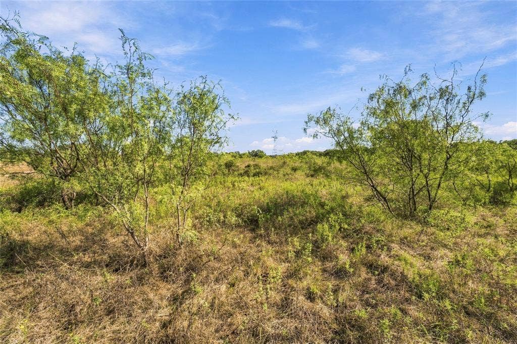 Tract 8 County Road 3671, Paradise, TX 76073