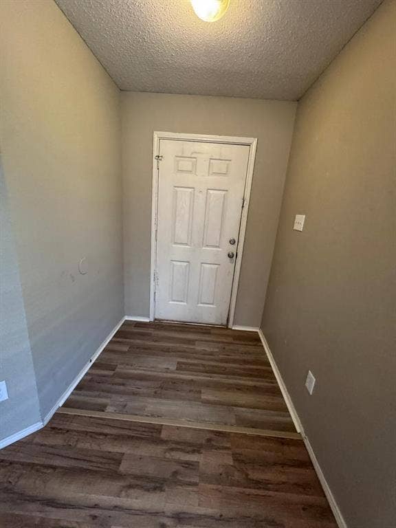 Entryway featuring a six-panel white door, wood-finish flooring, and a flush-mount ceiling light fixture