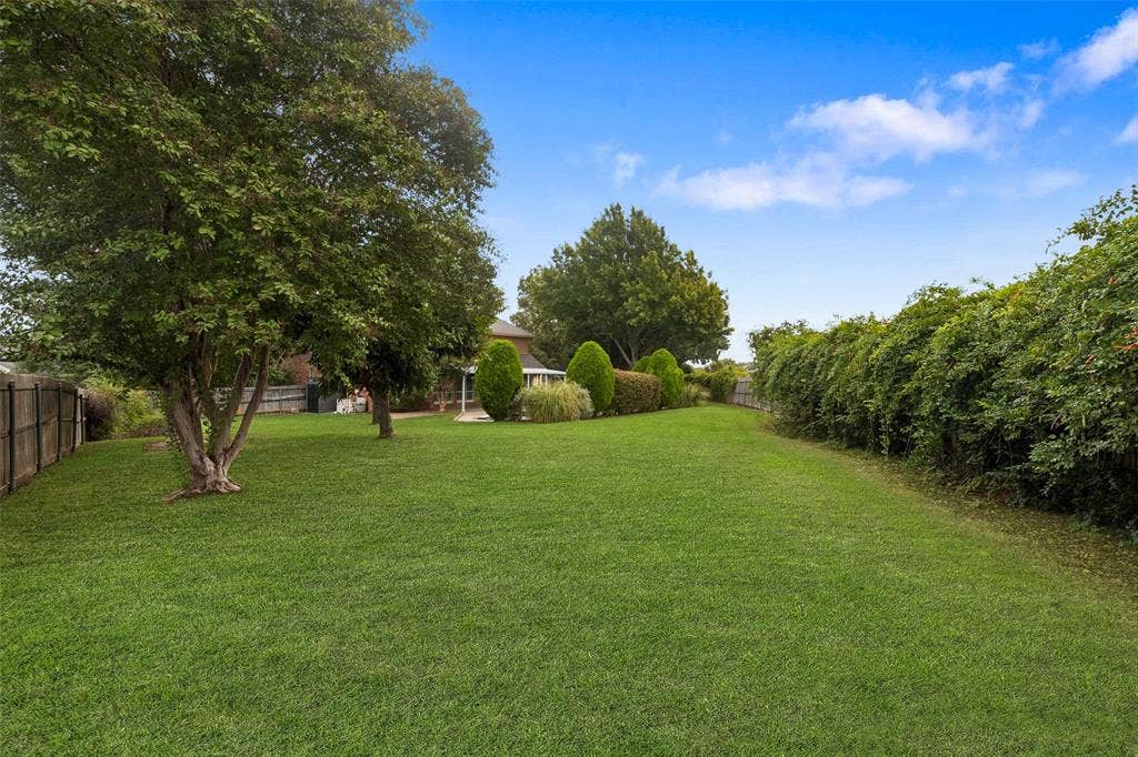 Expansive backyard
