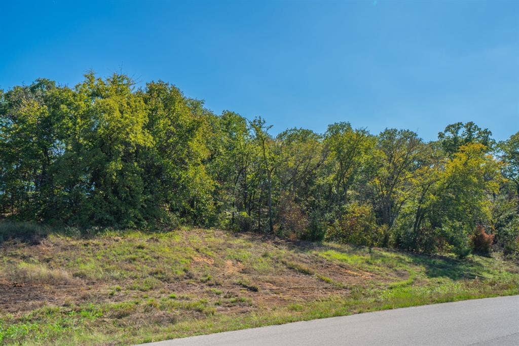 Lot 14 Robinson Canyon Road, Aubrey, TX 76227