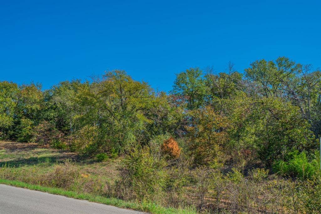 Lot 14 Robinson Canyon Road, Aubrey, TX 76227