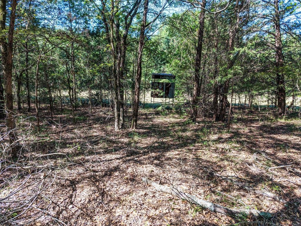 000 FM 1510, Paris, TX 75460