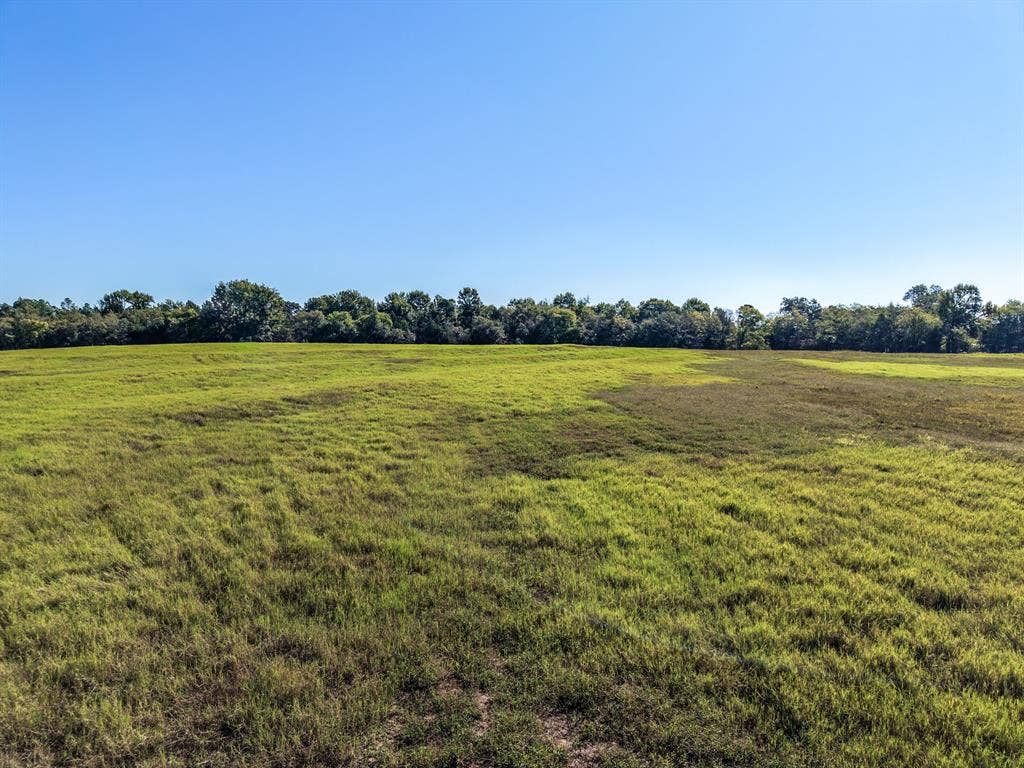 37 County Road SE 4435, Scroggins, TX 75480