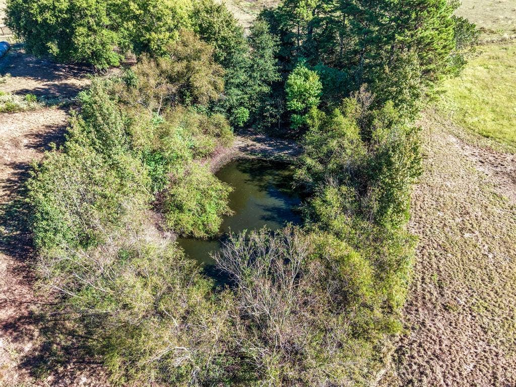 37 County Road SE 4435, Scroggins, TX 75480