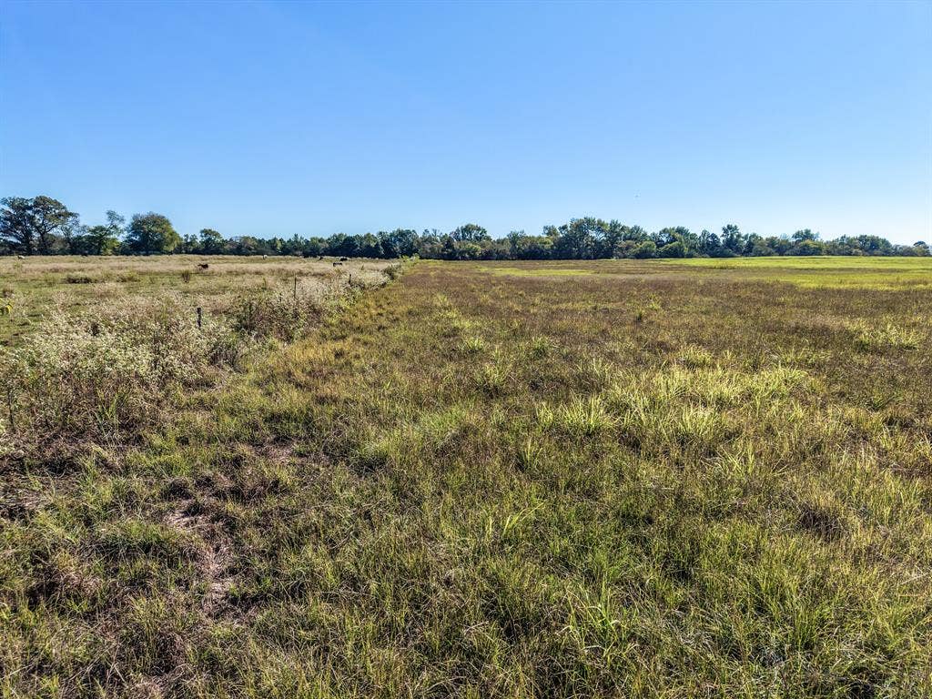 37 County Road SE 4435, Scroggins, TX 75480