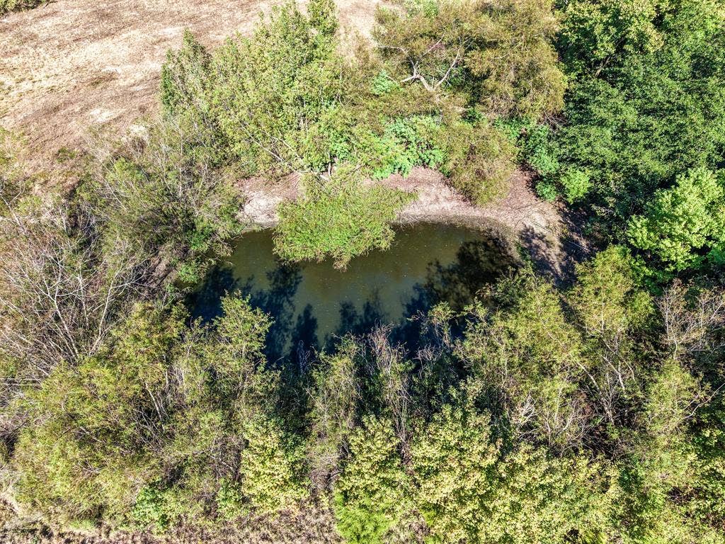 37 County Road SE 4435, Scroggins, TX 75480