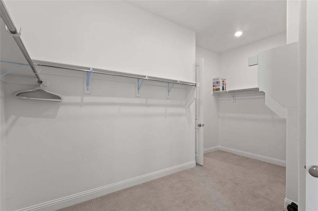 Walk-in closet featuring wall-to-wall carpeting and tiered metal shelving