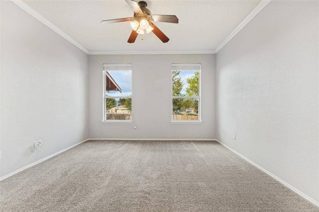Neutral-toned interior space featuring wall-to-wall carpeting, crown molding, dual windows, and a ceiling fan with integrated lighting