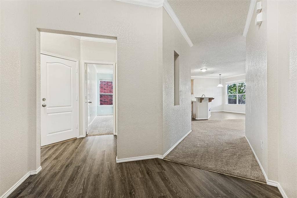 Interior entryway featuring neutral wall paint, crown molding, wood-finish flooring, a built-in recessed niche, and carpeted floor surfaces