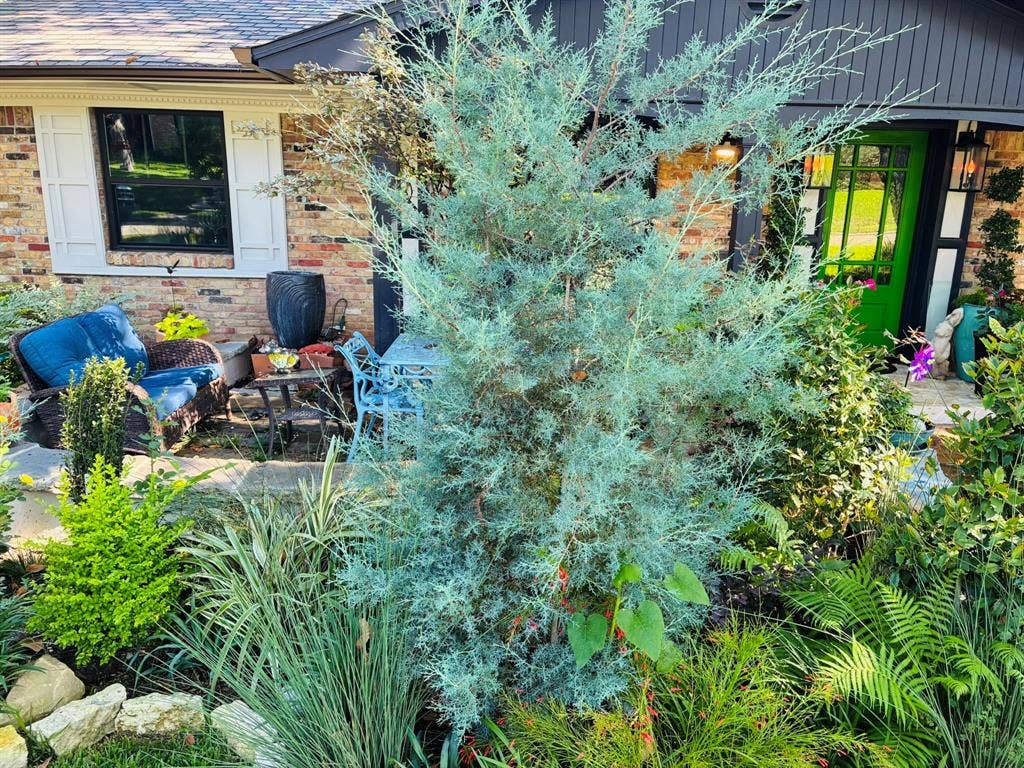 9011 Fringewood Drive, Dallas, TX 75228 9011 Fringewood Drive, Dallas, TX 75228