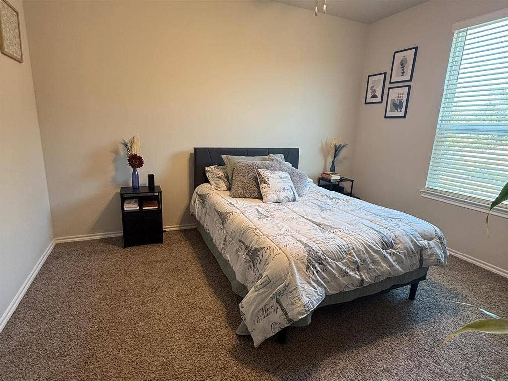 Neutral wall finishes, textured carpeting, and window with integrated blinds
