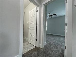 Interior doorways featuring white four-panel doors, neutral carpeting, and tile flooring