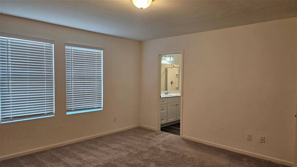 Neutral interior featuring wall-to-wall carpeting, dual windows with horizontal blinds, and a dome ceiling light fixture