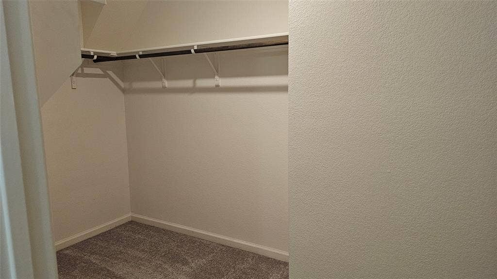 Storage space featuring wall-to-wall carpeting and an integrated upper shelf with a mounted clothing rod