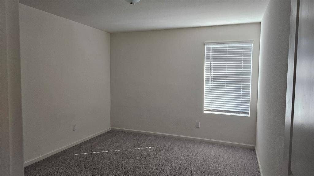 Neutral-toned wall finish, wall-to-wall carpeting, and a window fitted with horizontal blinds