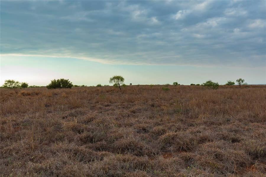 Property photo for TBD FM 2834, Hamlin, TX
