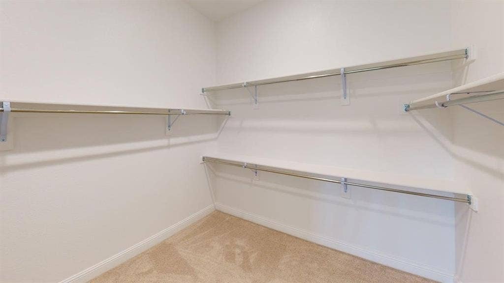 333 Elk Drive, Fate, TX 75189 Walk-in closet featuring wall-to-wall carpeting and tiered metal shelving with integrated clothing rods