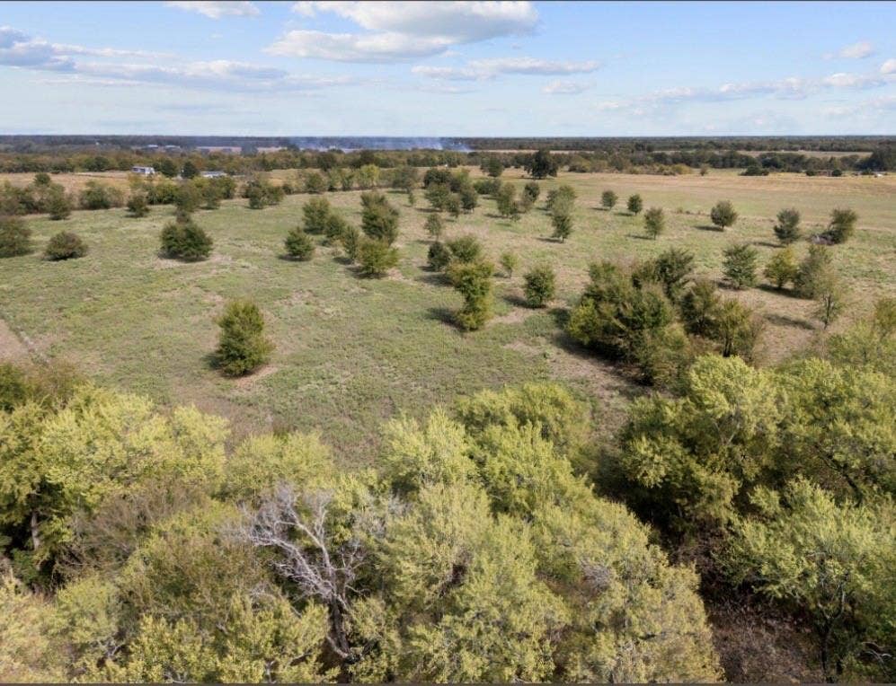 3655 Fm 513 S, Lone Oak, TX 75453 PASTURE