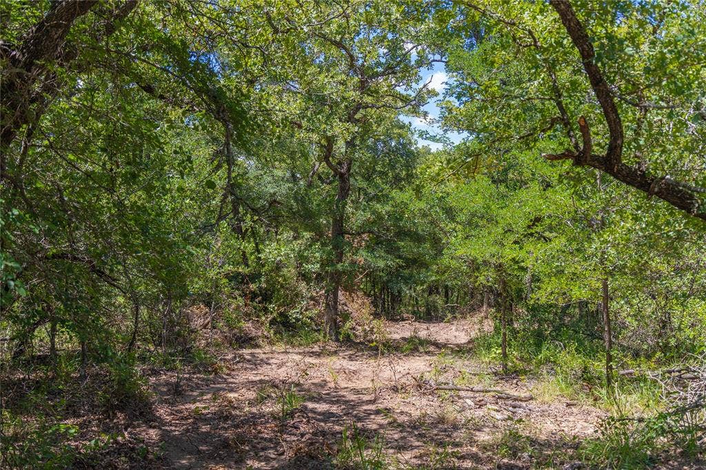 51.03 Acres Highway 16, De Leon, TX 76444