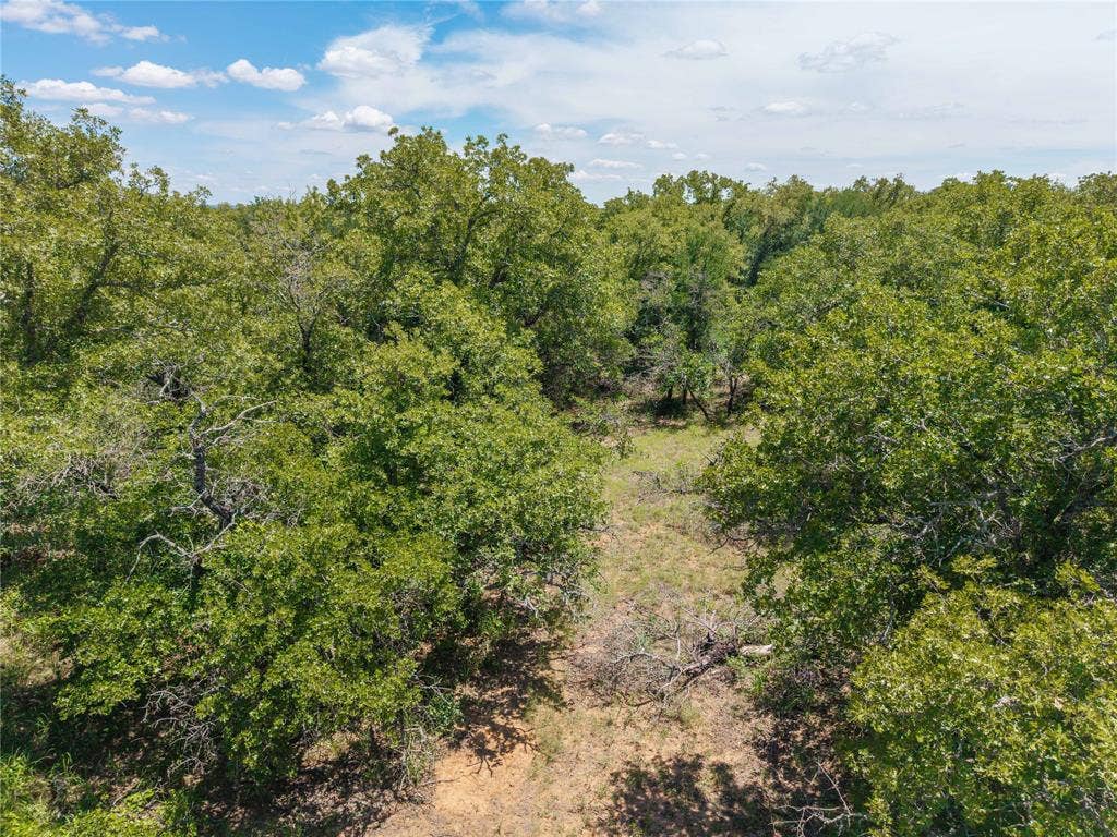 51.03 Acres Highway 16, De Leon, TX 76444