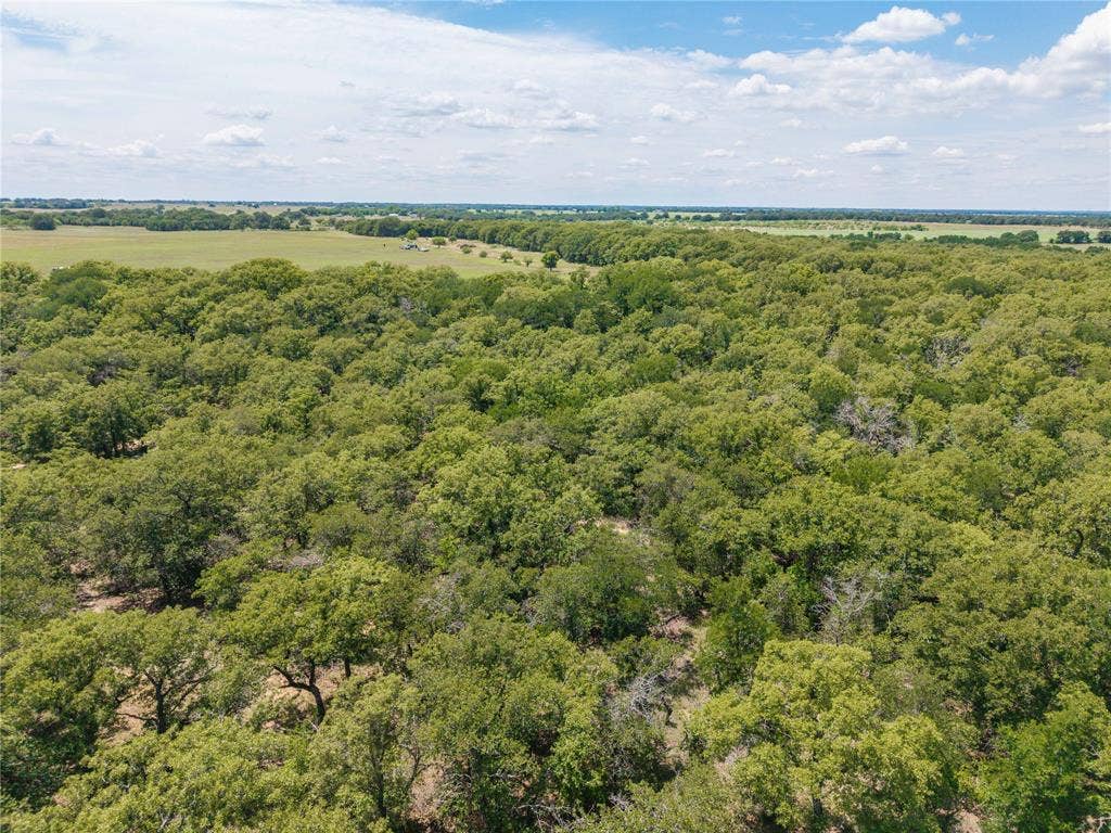51.03 Acres Highway 16, De Leon, TX 76444