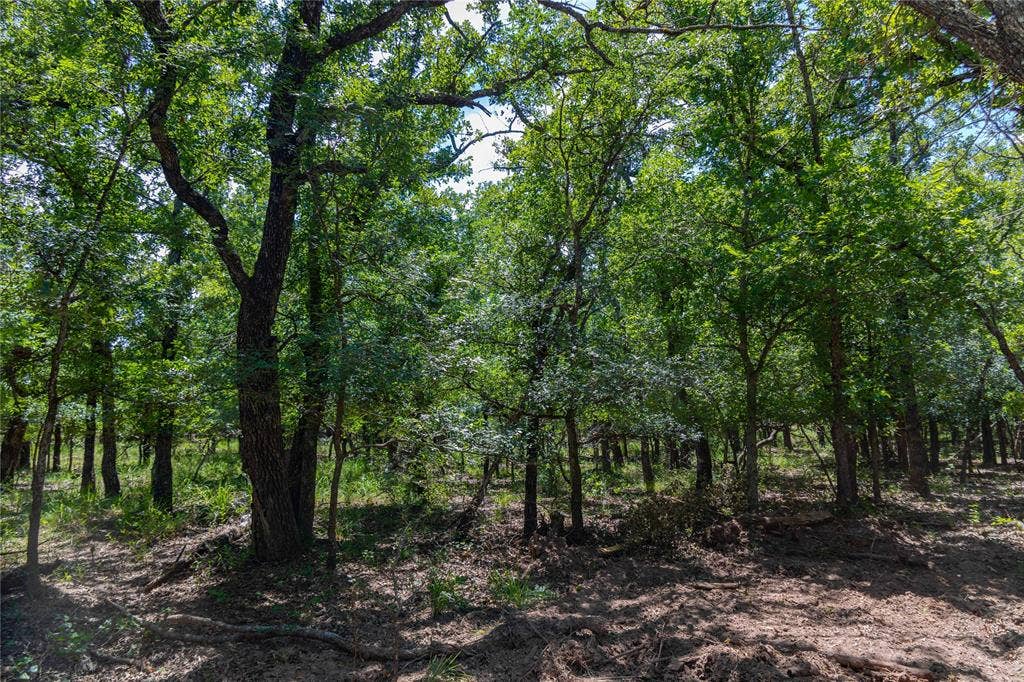 51.03 Acres Highway 16, De Leon, TX 76444