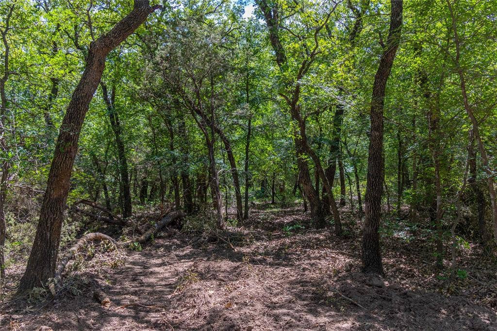 51.03 Acres Highway 16, De Leon, TX 76444