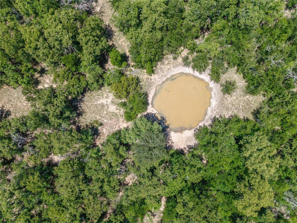 51.03 Acres Highway 16, De Leon, TX 76444