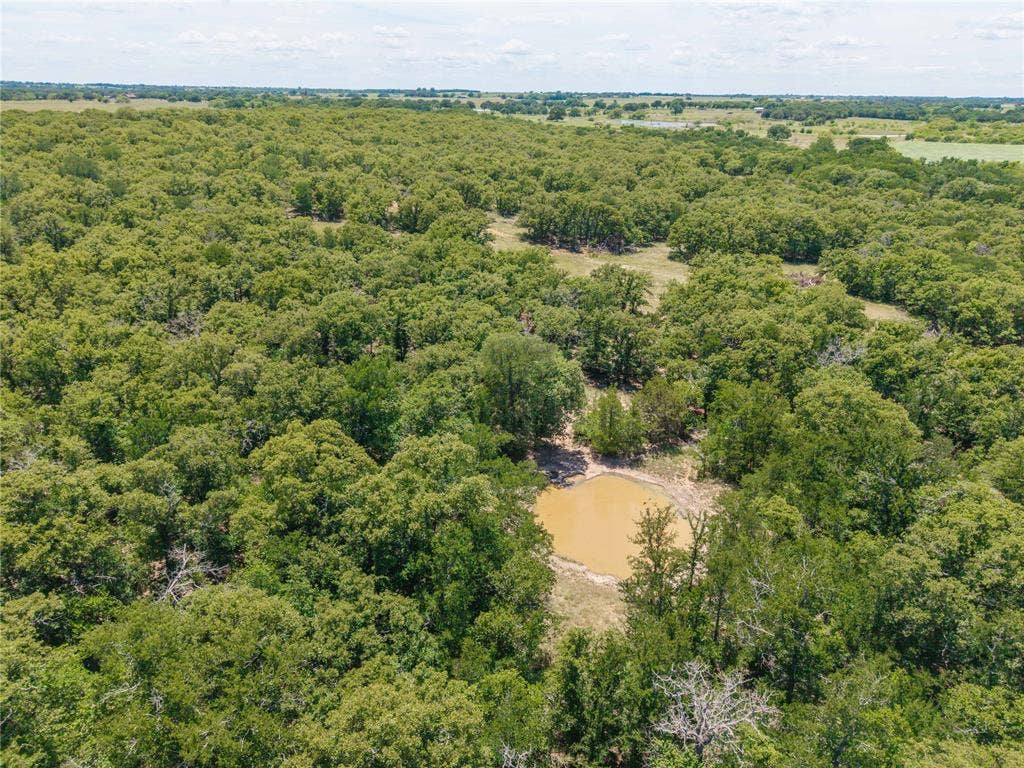 51.03 Acres Highway 16, De Leon, TX 76444