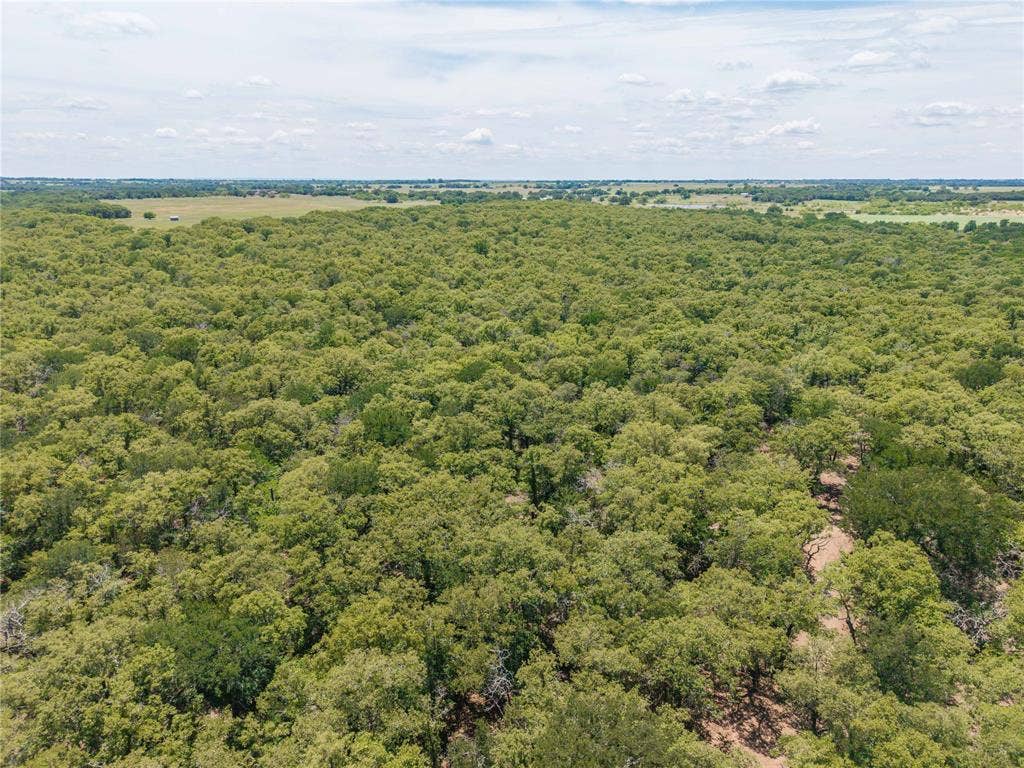 51.03 Acres Highway 16, De Leon, TX 76444