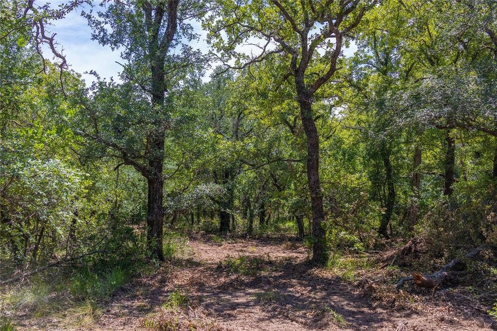 51.03 Acres Highway 16, De Leon, TX 76444
